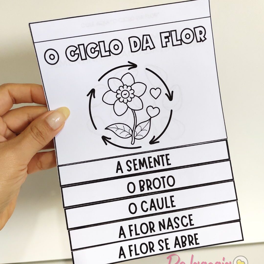 Flipbook – O Ciclo da Flor